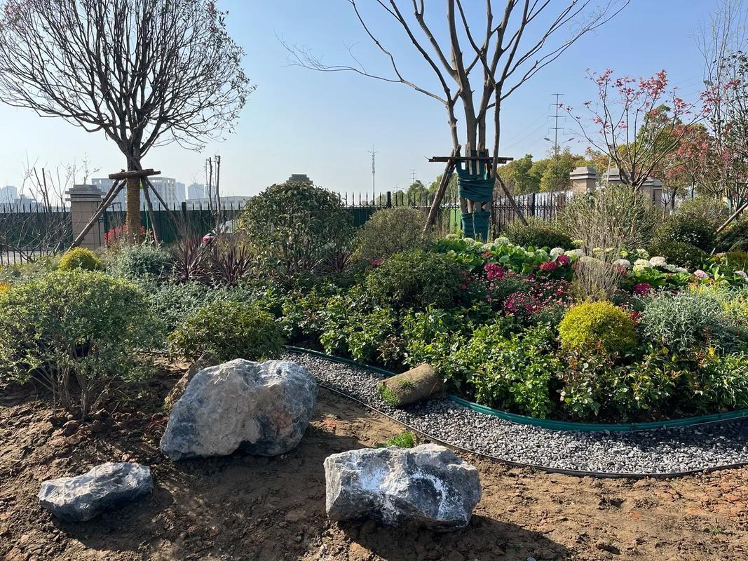 園林綠化工程 #施工現(xiàn)場實拍