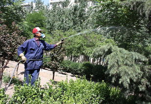 延吉市華天園林綠化 經營產品介紹 圖