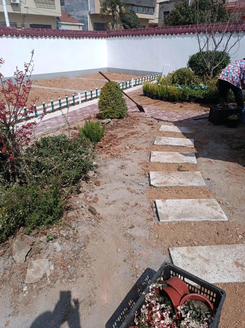 單位綠化施工現場#園林景觀 #景觀工程